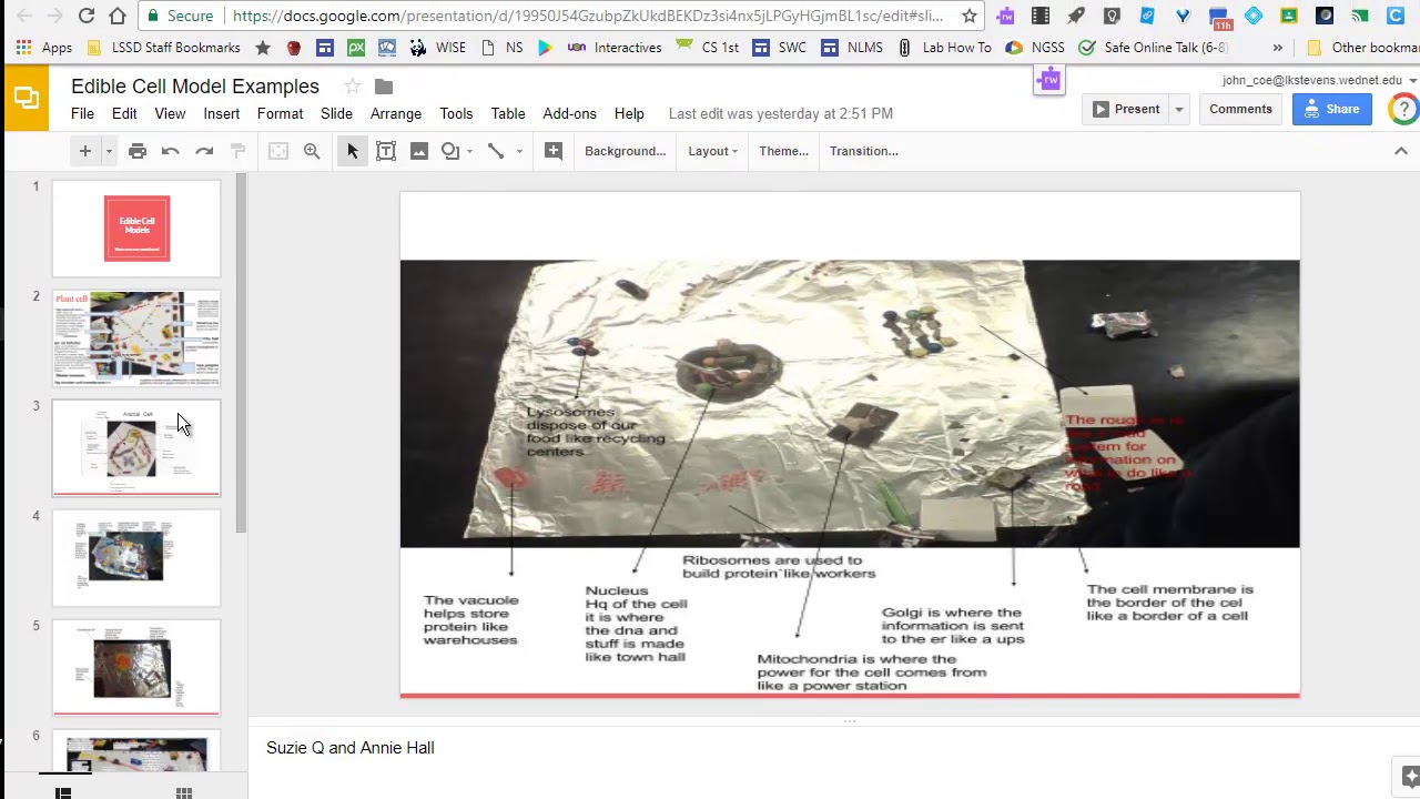 Edible Cell Model Instructions