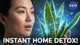 5 NASA-Approved Plants That Purify Your Home & Energy