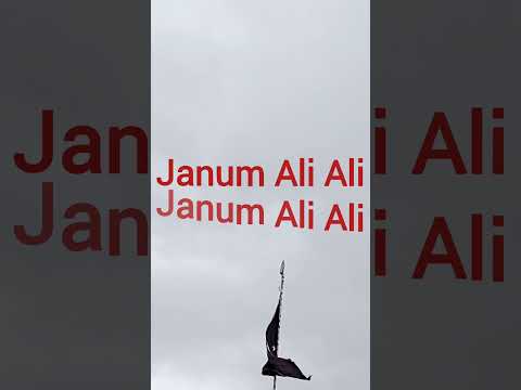 Janum Ali Ali, Best noohay, nadeem sarwar noohay, viral shorts, yt shorts, majlis shorts,