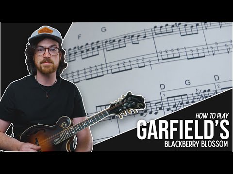 How to Play "Garfield's Blackberry Blossom" /// Mandolin Lesson (Intermediate)