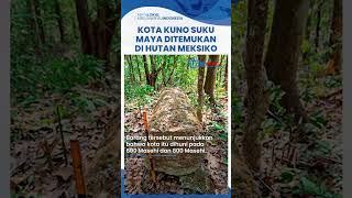 Kota Kuno Suku Maya Ditemukan di Tengah Hutan Meksiko, Dianggap Peradaban Paling Hebat di Barat