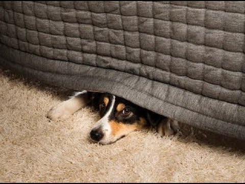 On nie wchodzi tutaj  Sobota  25 09 2021