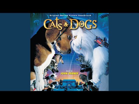 Video thumbnail for Tinkles Plots / Limo Ride / Flocking Factory