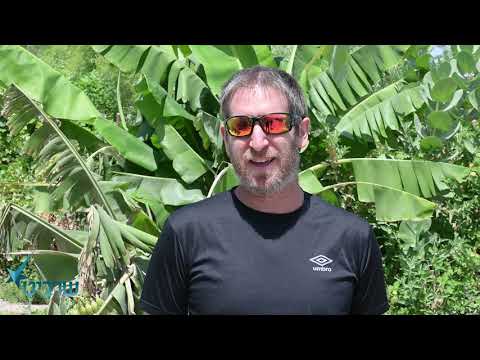 המלצה לסדנת רוב גולדברג