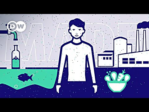 Fakten: Plastik in Körper und Umwelt | Made in Germany