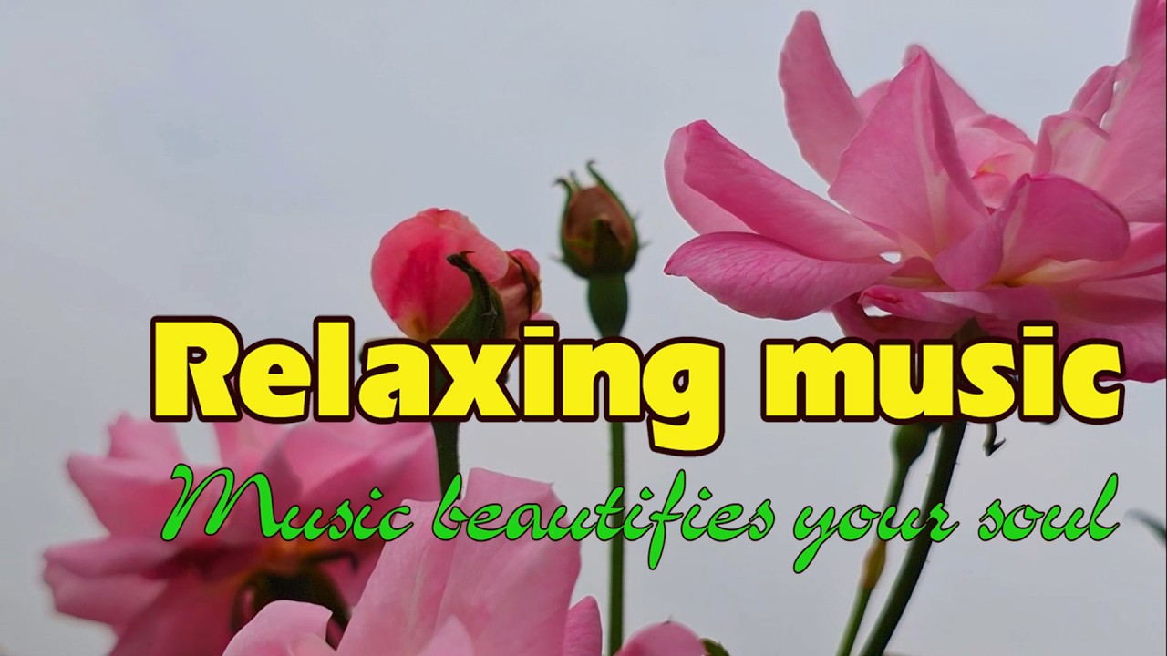 New melody for Relaxation, Music beautifies your soul, RLX Vgreen relaxing music vol 209