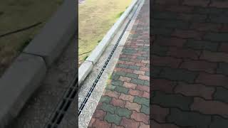 ライブ ハイライト