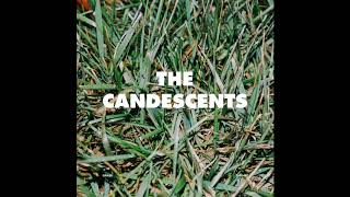 The Candescents - Grass