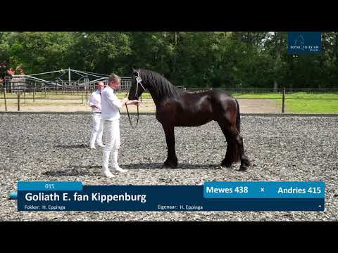 Locatiekeuring 28-6-2021 – Dekstation Gaasterland