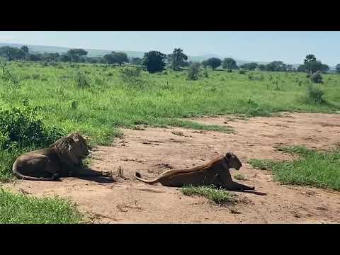 Kidepo Valley National Park