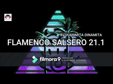 FLAMENCA SALSERA 21.1 SESION