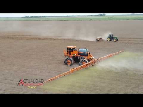 Siembra de CARINATA   CHARATA Provincia del Chaco   Ing  Agr  Juan Pablo Gomez   segunda parte