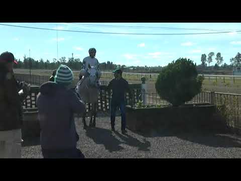 CARRERAS SINT FLORIDA 210701 c01 1° BEIJA FLOR CARVER MR