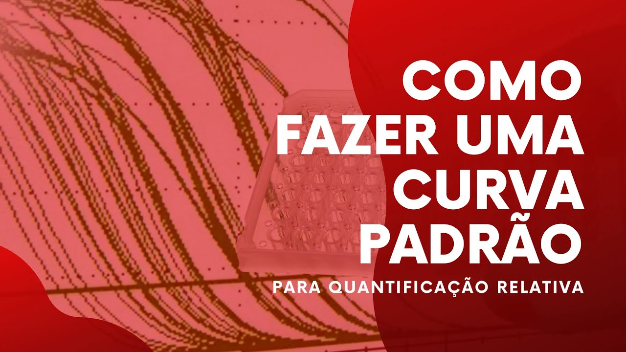 Como fazer uma curva padrão de respeito!