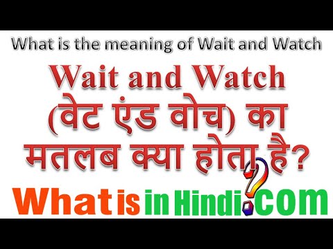 What is the meaning of Wait and Watch in Hindi | Wait and watch ka matlab kya hota hai