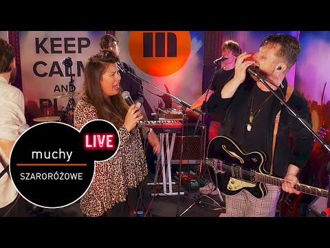 Muchy - Szaroróżowe - live MUZO.FM feat. Monika Borzym