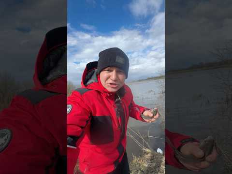 Сегодня рыбачим, поймал 20кг рыбы 😱