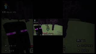 《エンドシティ発見！》 #MINECRAFT #マインクラフト #マイクラ