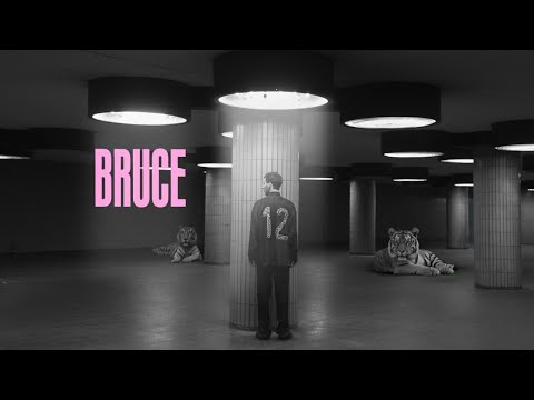 IGO - Bruce
