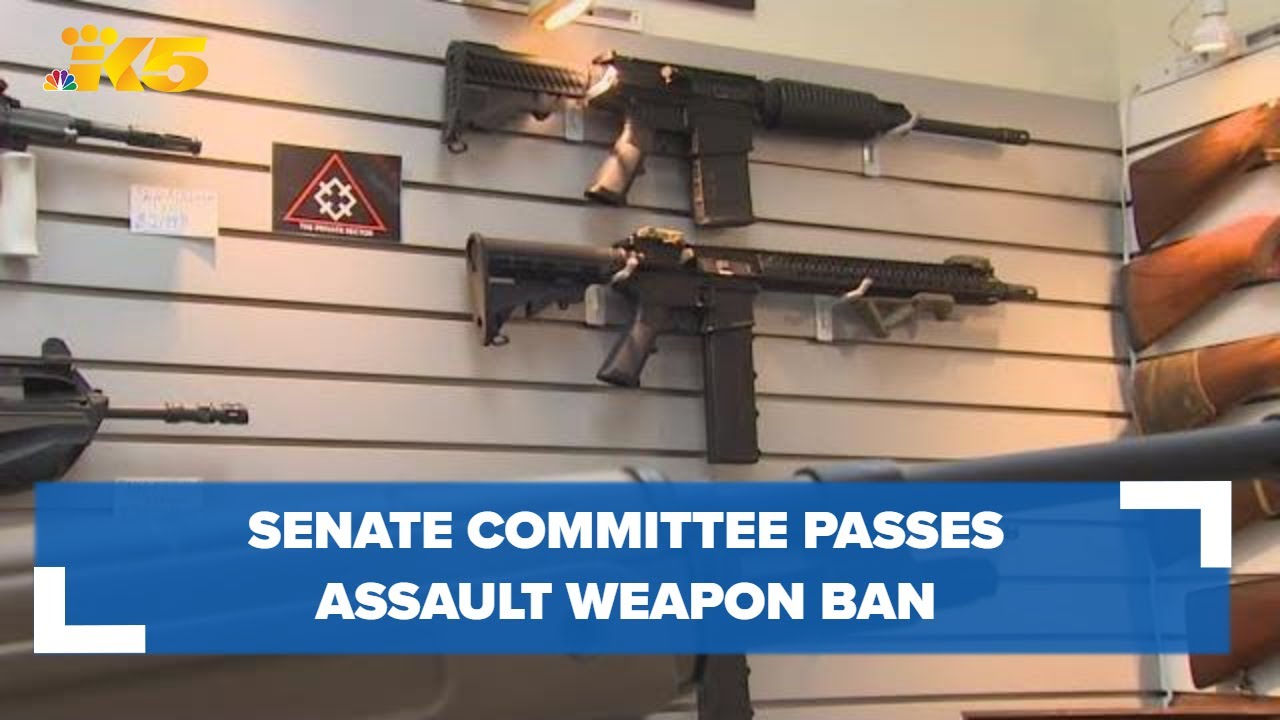 Senate committee passes bill banning sale of assault weapons in Washington