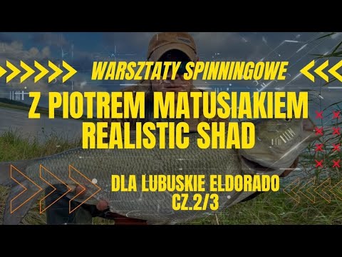 Warsztaty Spinningowe z Realistic Shad Piotr Matusiak 2/3
