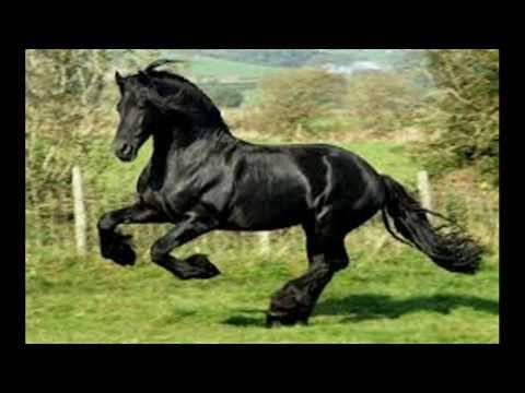 The Time of the Preacher by Johnny Cash