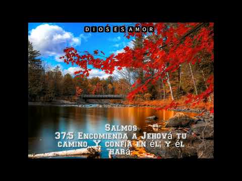 Amigo Ideal - Conjunto Ranchillos