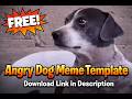 Angry Dog Meme Template Black And White Angry Dog Trending Meme Template