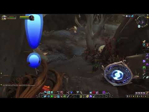 January 22, 2026 - Maelie the Wanderer - North of Keepers Respite