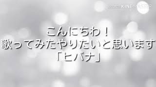 歌ってみた「ヒバナ」(概要欄必見)