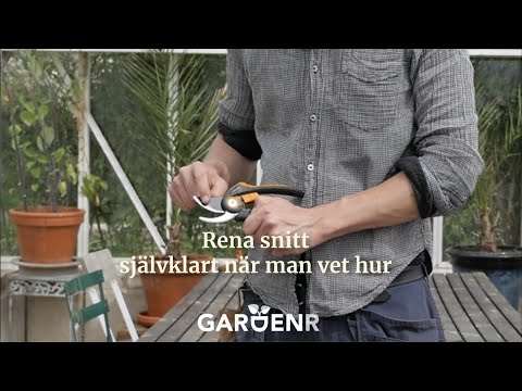 Så gör du lätt rena snitt - Trädgårdshacks med GardenR