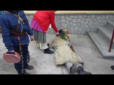 URSUL DE LA VALEA ARINI JUNIORII