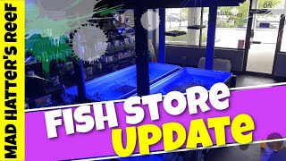 Fish Store Update | One Take Sunday | Coral Unlimited