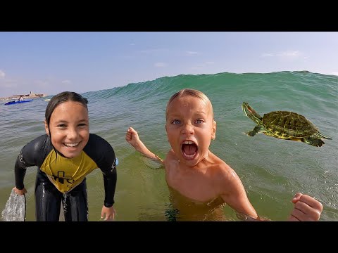 Sköldpaddor i sjön & Familjen är ur balans VLOGG
