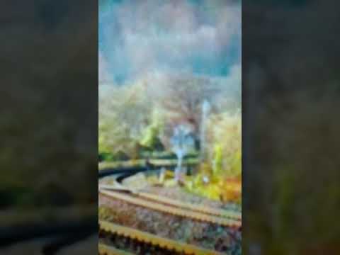 Mega concert de goarne de la GM 65-0990-5 în Stâna. (15.11.2014).