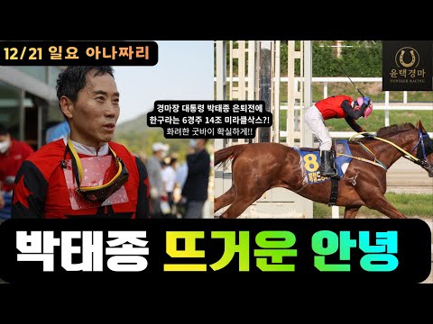 12/21 일요-윤택-경마 아나짜리 하루 흐름은 7경주에서 결정됩니  윤택의 경마예상TV 구독자 5.07천명  구독