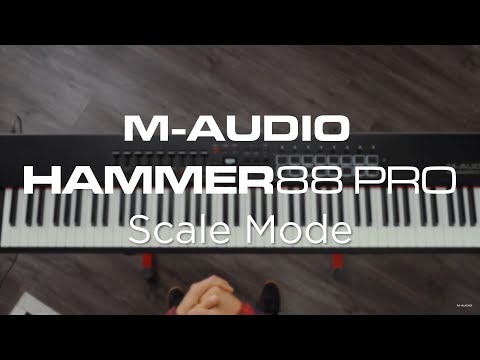 M-Audio Hammer 88 Pro || Scale Mode Overview