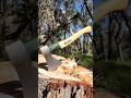 STIHL Forestry Hatchet Great Little Camp Axe Stihl Camping Bushcraft Survival
