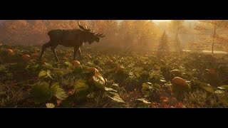 のんびり動物狩ンゴね