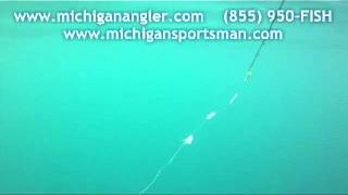 Underwater Meat Head Movie