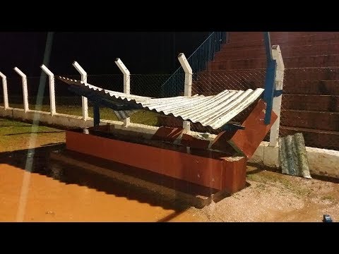 A Vingança dos Eucaliptos