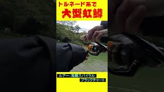 初心者必見！大型トラウトがあの最強ルアーで大暴れ！！！#shorts #fishing #管理釣り場 #釣り #海鱒スパイラル