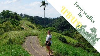 UBUD Free Walks On Your Own