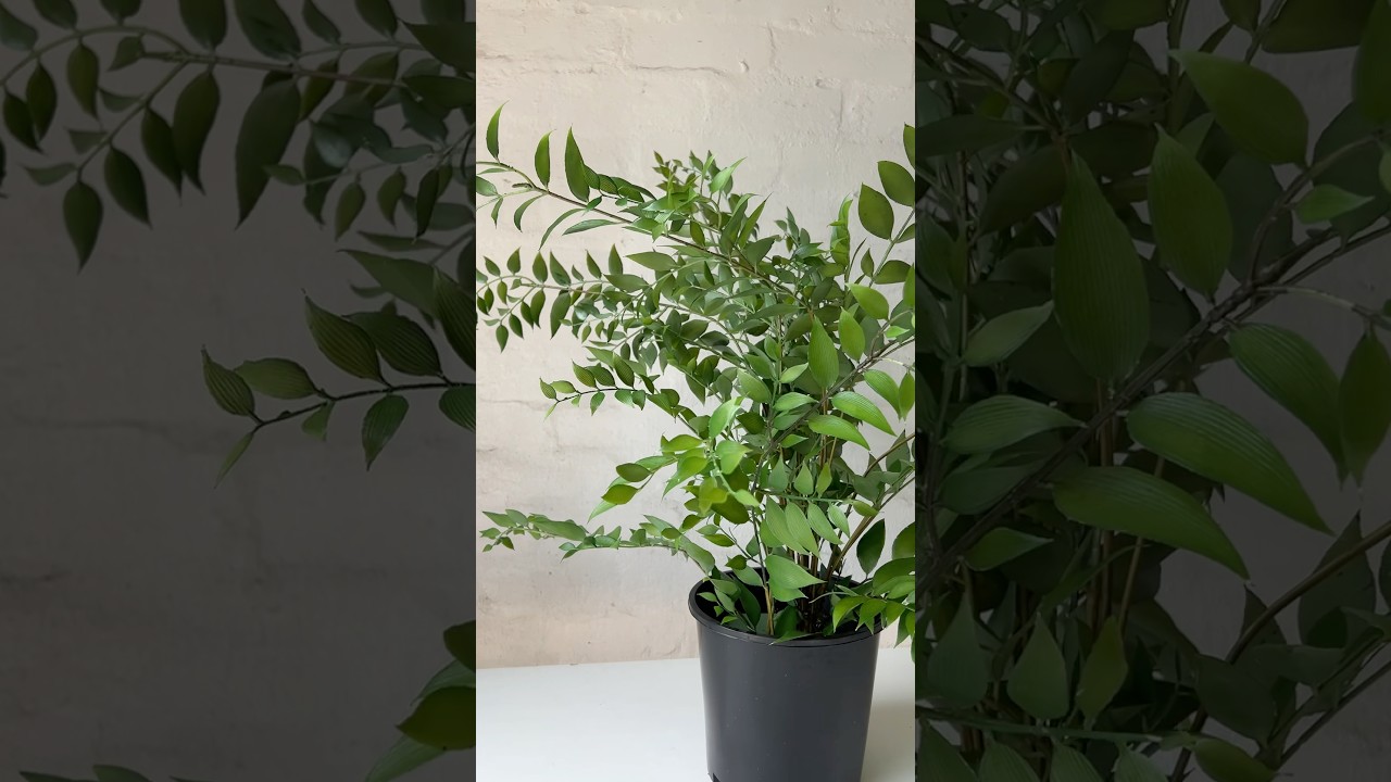 Lifelike Artificial Potted Plants