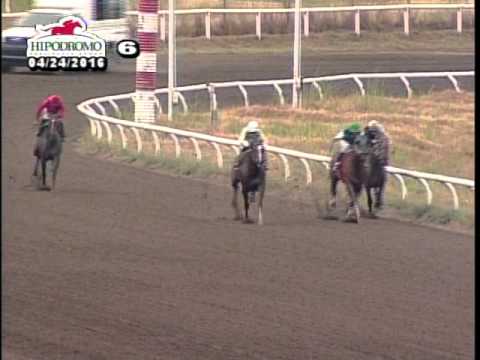 6TA CARRERA DEL DOMINGO 24 DE ABRIL DE 2016 HPR