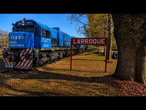 Tren de cargas por Larroque 