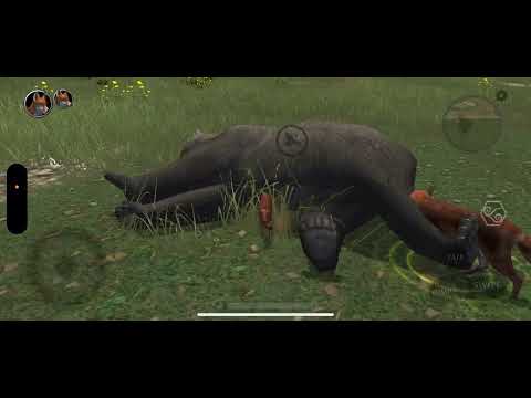 Bears....|Ultimate Fox simulator 2|Tanzanite's Skulk|ep 11 - YouTube