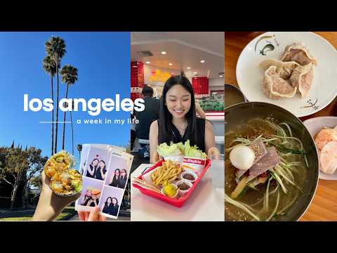 LA VLOG | Koreatown eats, shopping, best brekkie spot, and back to school!