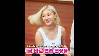 MOMOLAND Nancy boobs Shorts #Shorts