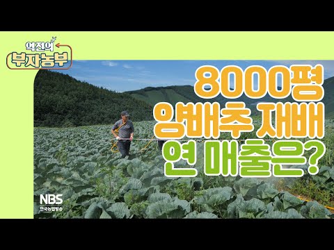 , title : '[역전의부자농부 215회] 8000평 양배추 재배 연 매출은?'